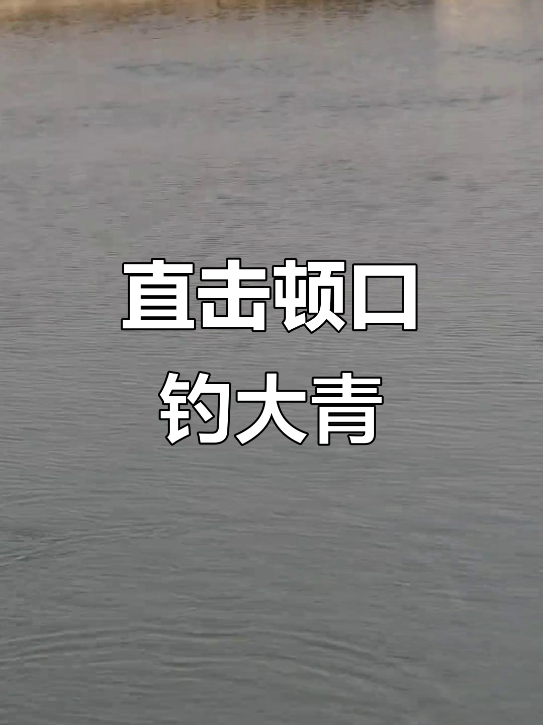 钓鱼青鱼技巧视频(钓青鱼教程)