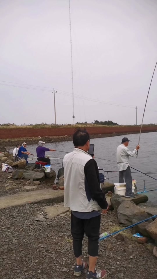 夏天钓梭鱼的技巧(钓梭鱼的绝招视频)