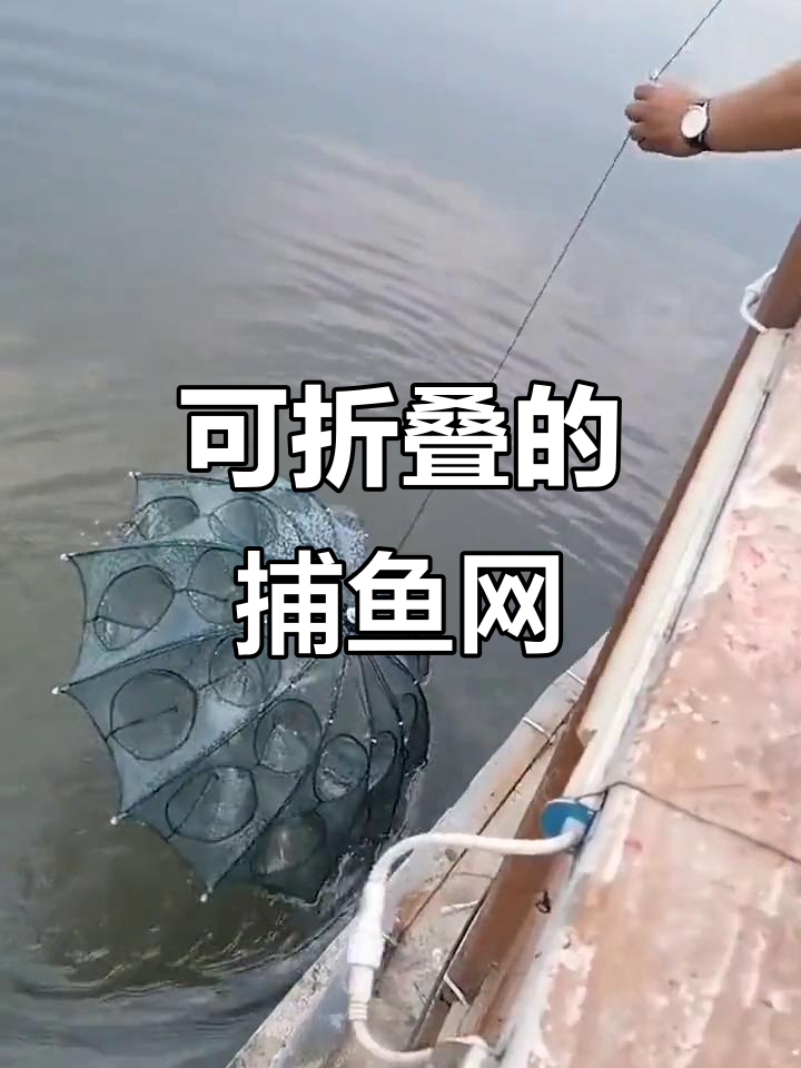 鱼网抓鱼技巧(用鱼网捞鱼技巧)