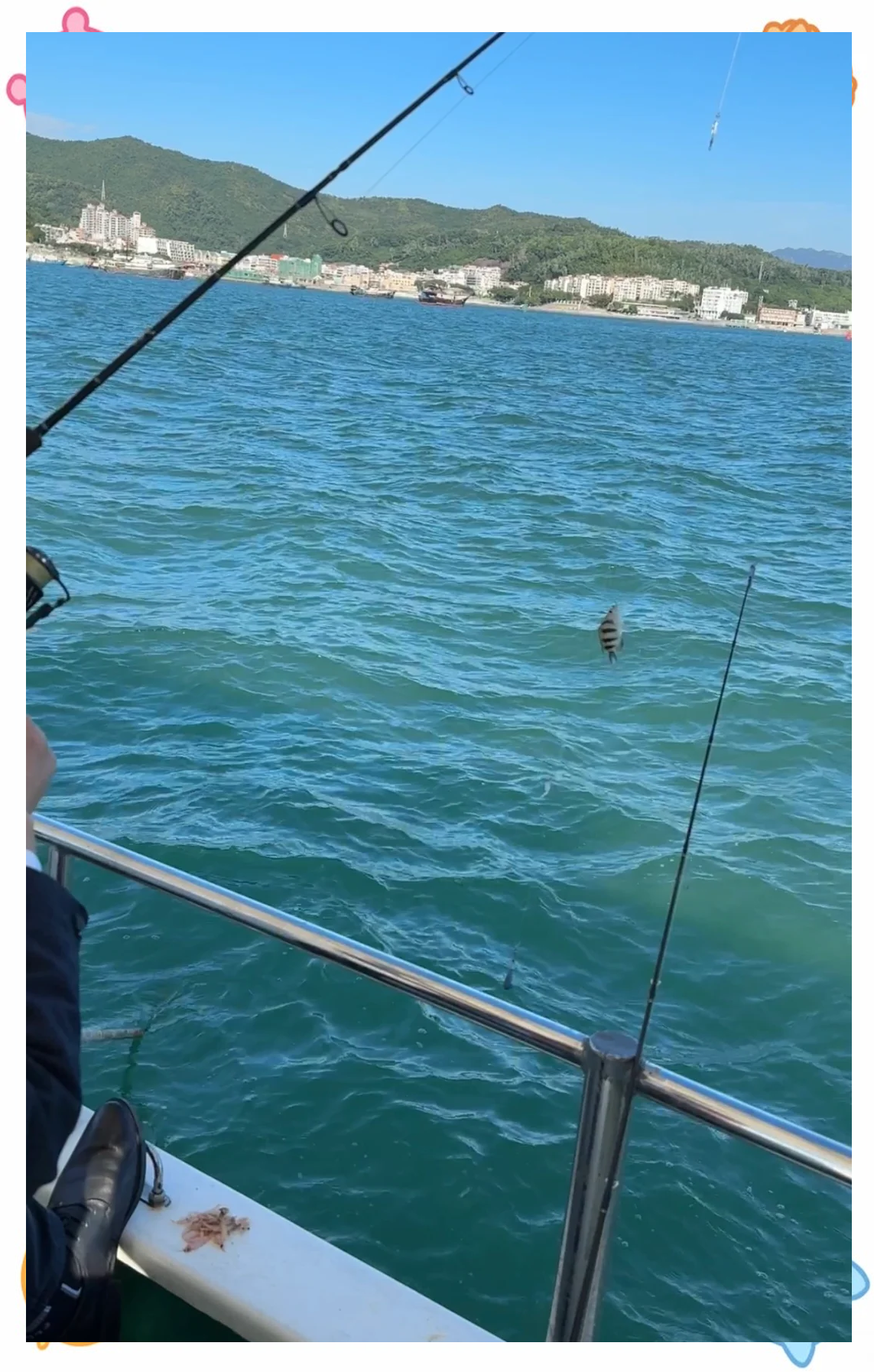 深圳南奥海钓(深圳南澳钓点) 深圳南奥海钓(深圳南澳钓点)