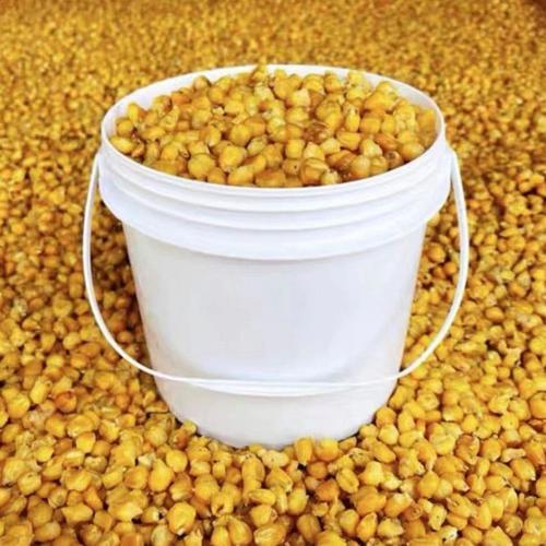 玉米饵料(玉米饵料哪个牌子好) 玉米饵料(玉米饵料哪个牌子好)