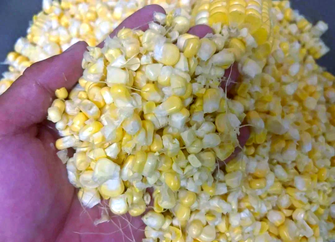 玉米饵料(玉米饵料哪个牌子好) 玉米饵料(玉米饵料哪个牌子好)