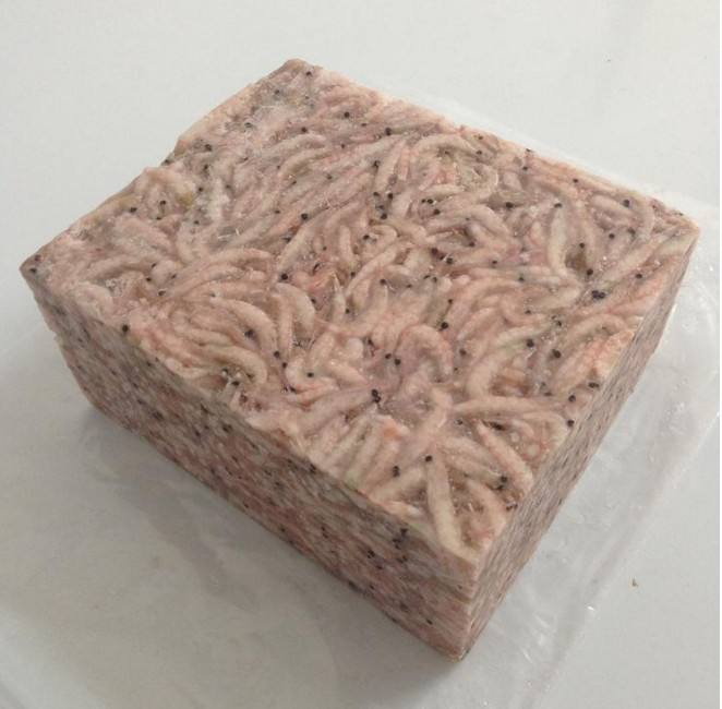 海钓南极虾(海钓南极虾鱼饵要沉到海底吗?) 海钓南极虾(海钓南极虾鱼饵要沉到海底吗?)