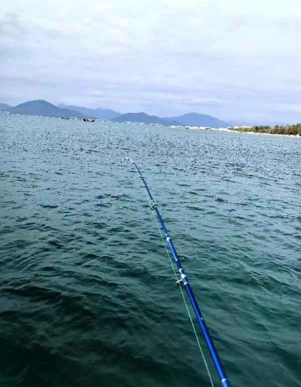 西沙海钓俱乐部(西沙海钓视频大全集)