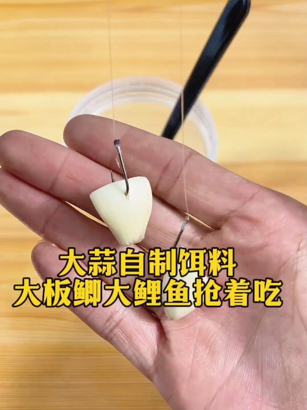 饵料里面加蒜(饵料里面加蒜好吗) 饵料里面加蒜(饵料里面加蒜好吗)