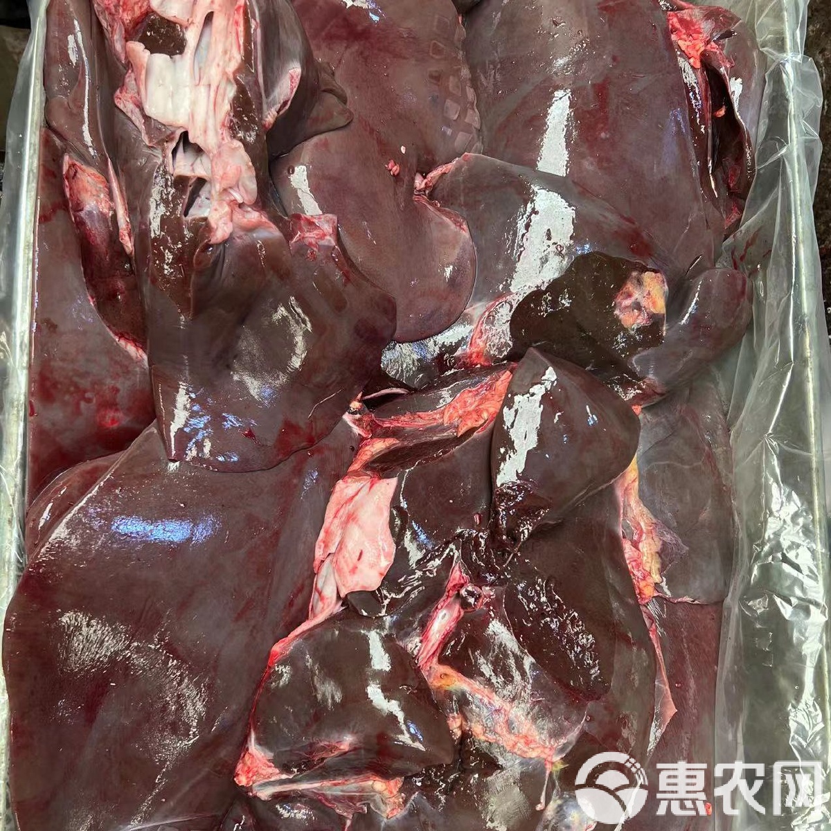 牛肝饵料(牛肝钓鲫鱼)