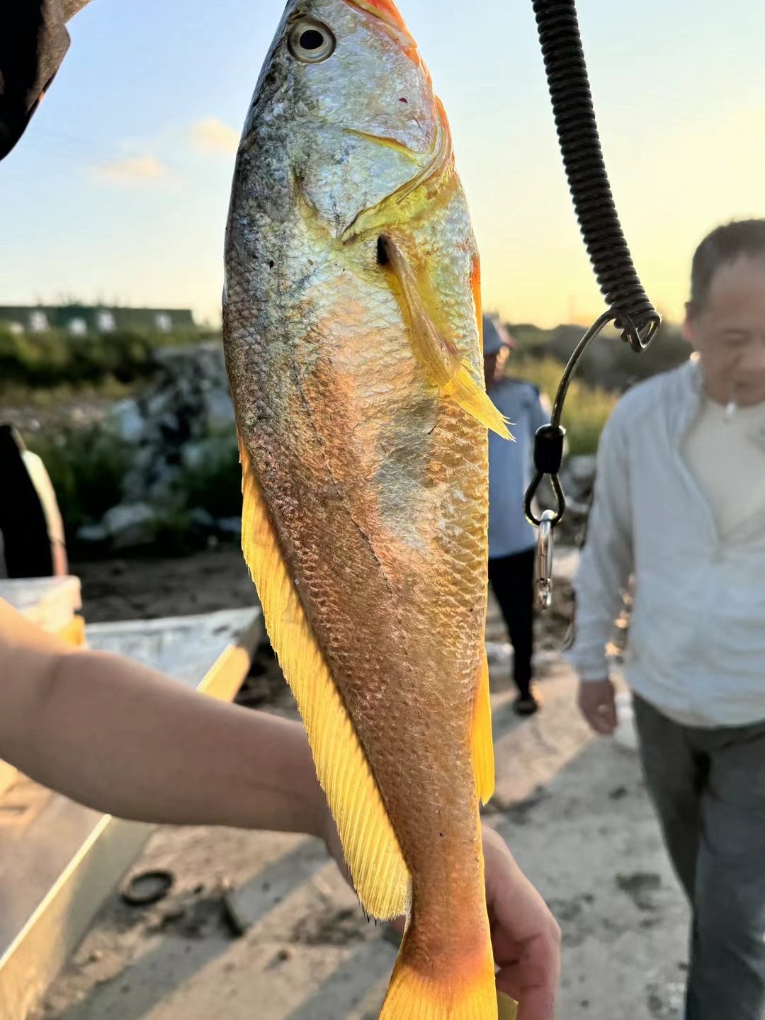 福建的地方海钓视频(福建出海钓鱼)