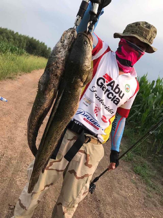 路亚挂水怪(尼斯湖水怪的真实身份)