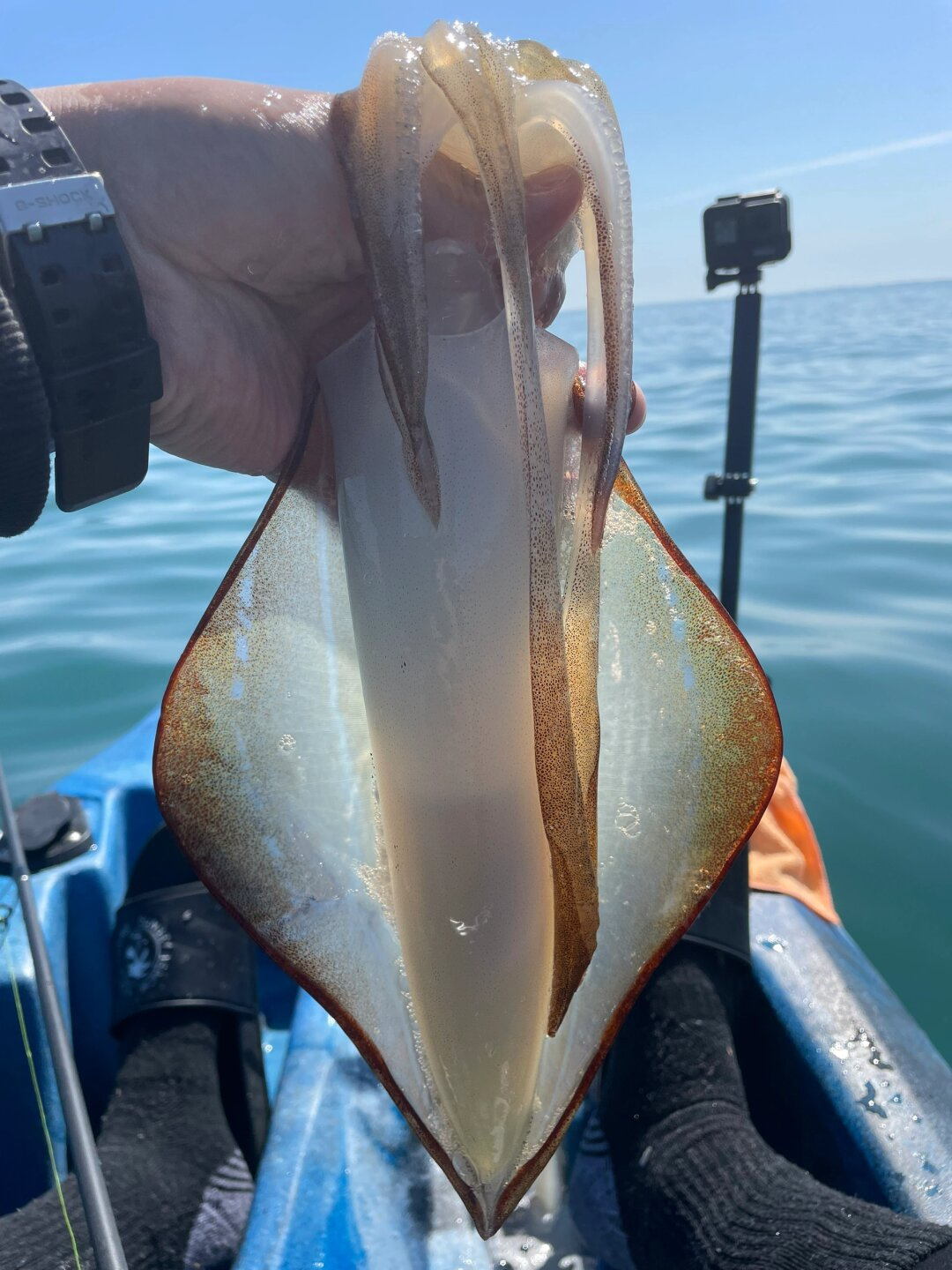 路亚挂水怪(尼斯湖水怪的真实身份)