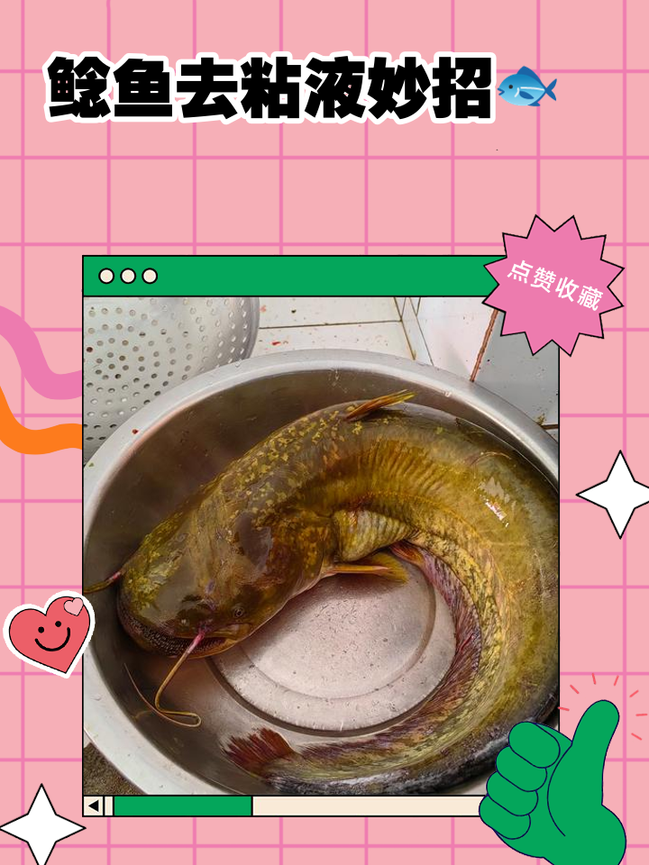 水库捕鲶鱼技巧(水库的鲶鱼怎么钓)