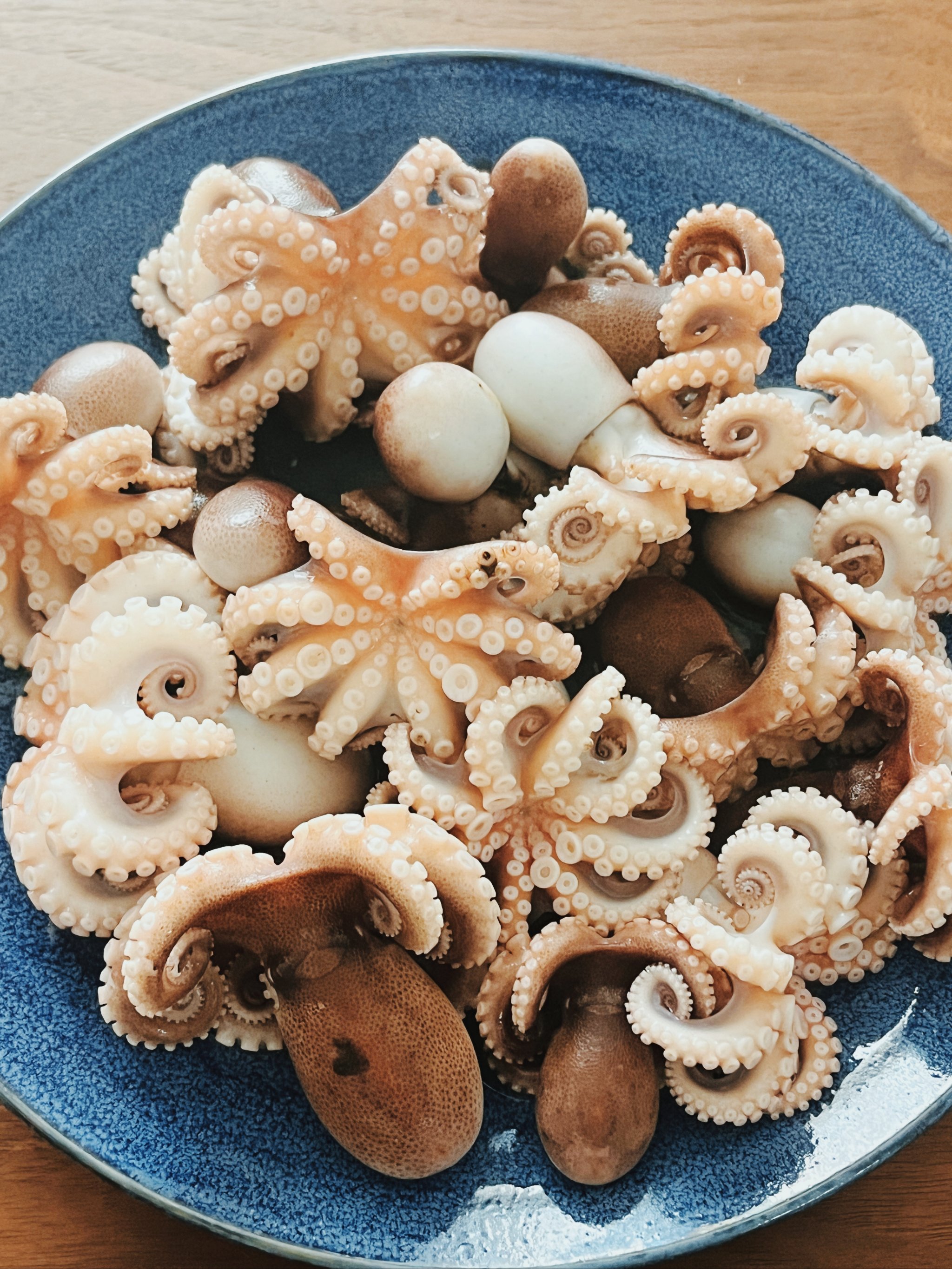 威海钓八带(钓八带鱼视频)