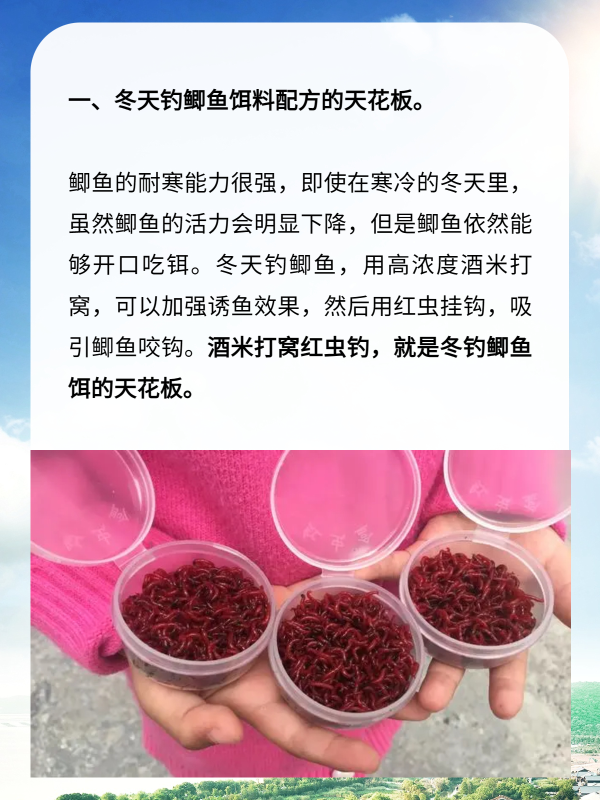 钓鱼和饵料配置视频(钓鱼饵料一般怎么配)