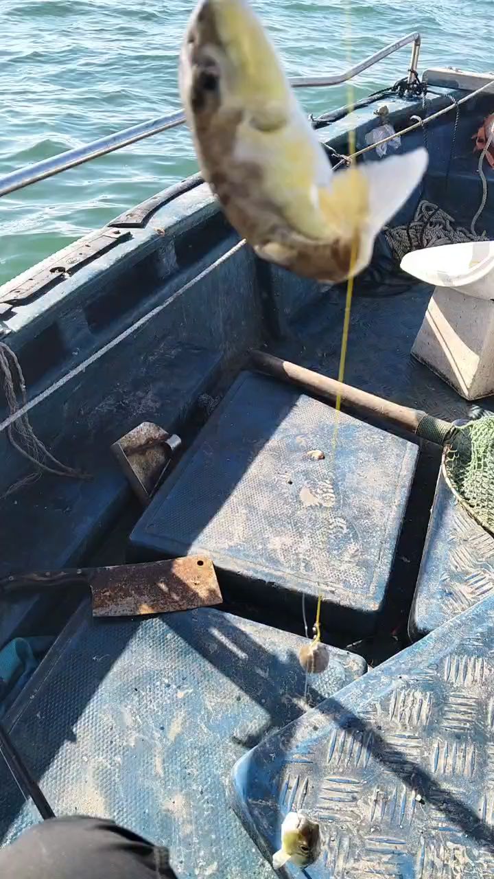 北海市海钓(北海市海钓俱乐部要押金多少?)