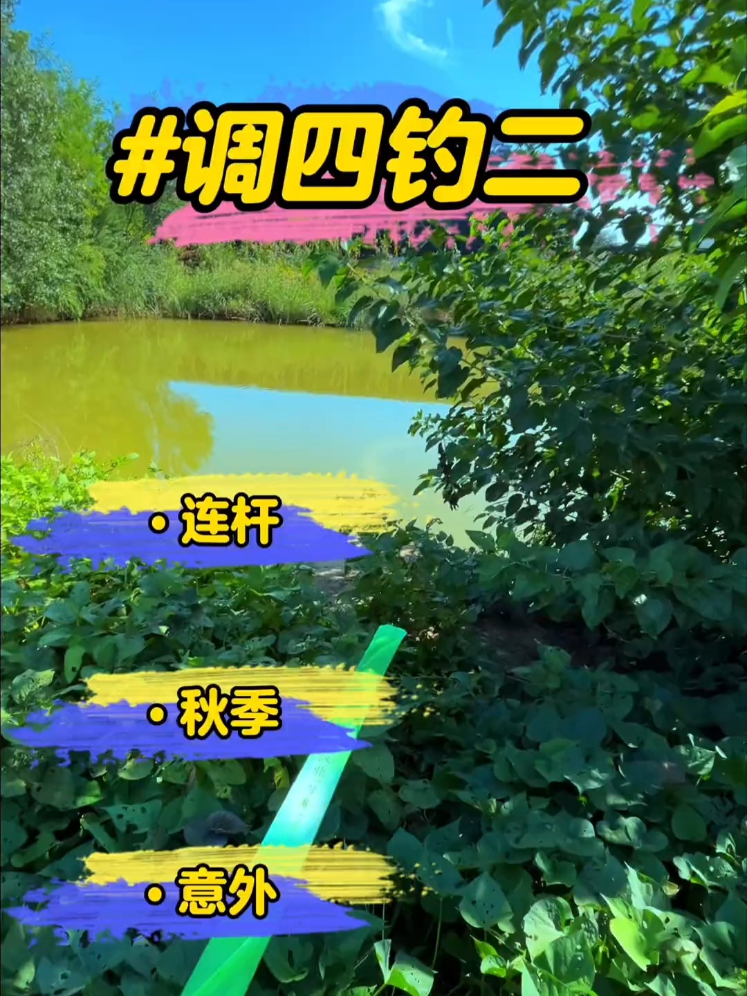 深秋野钓鲫鱼饵料配方(深秋鲫鱼饵料搭配)