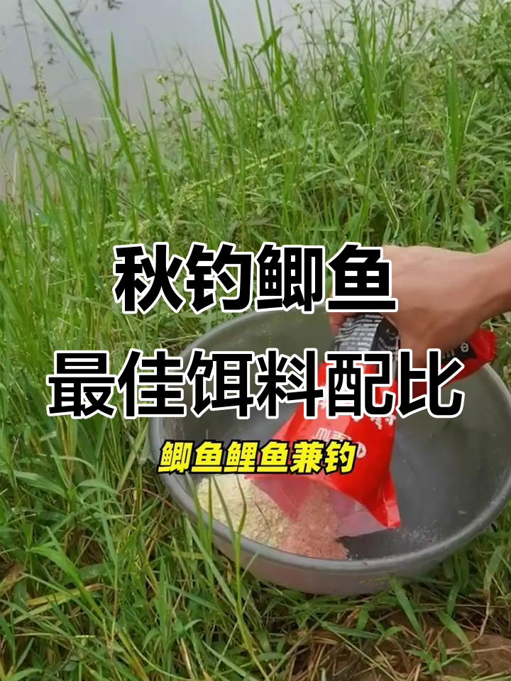 深秋野钓鲫鱼饵料配方(深秋鲫鱼饵料搭配)