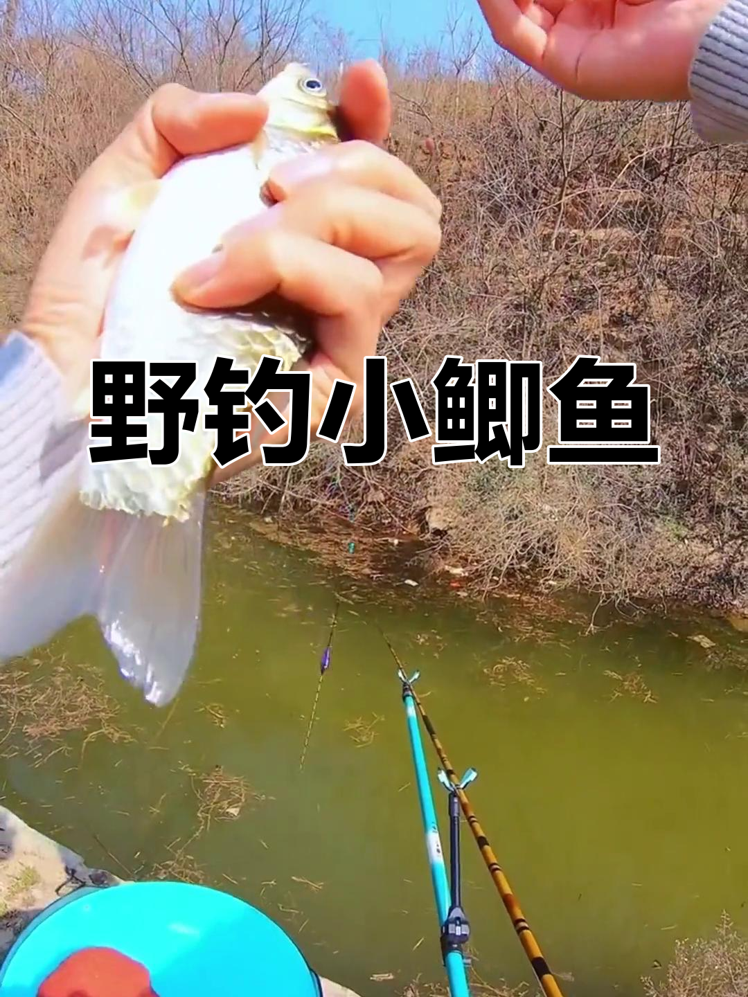 冬天小河钓鲫鱼技巧(冬季小河野钓鲫鱼技巧)