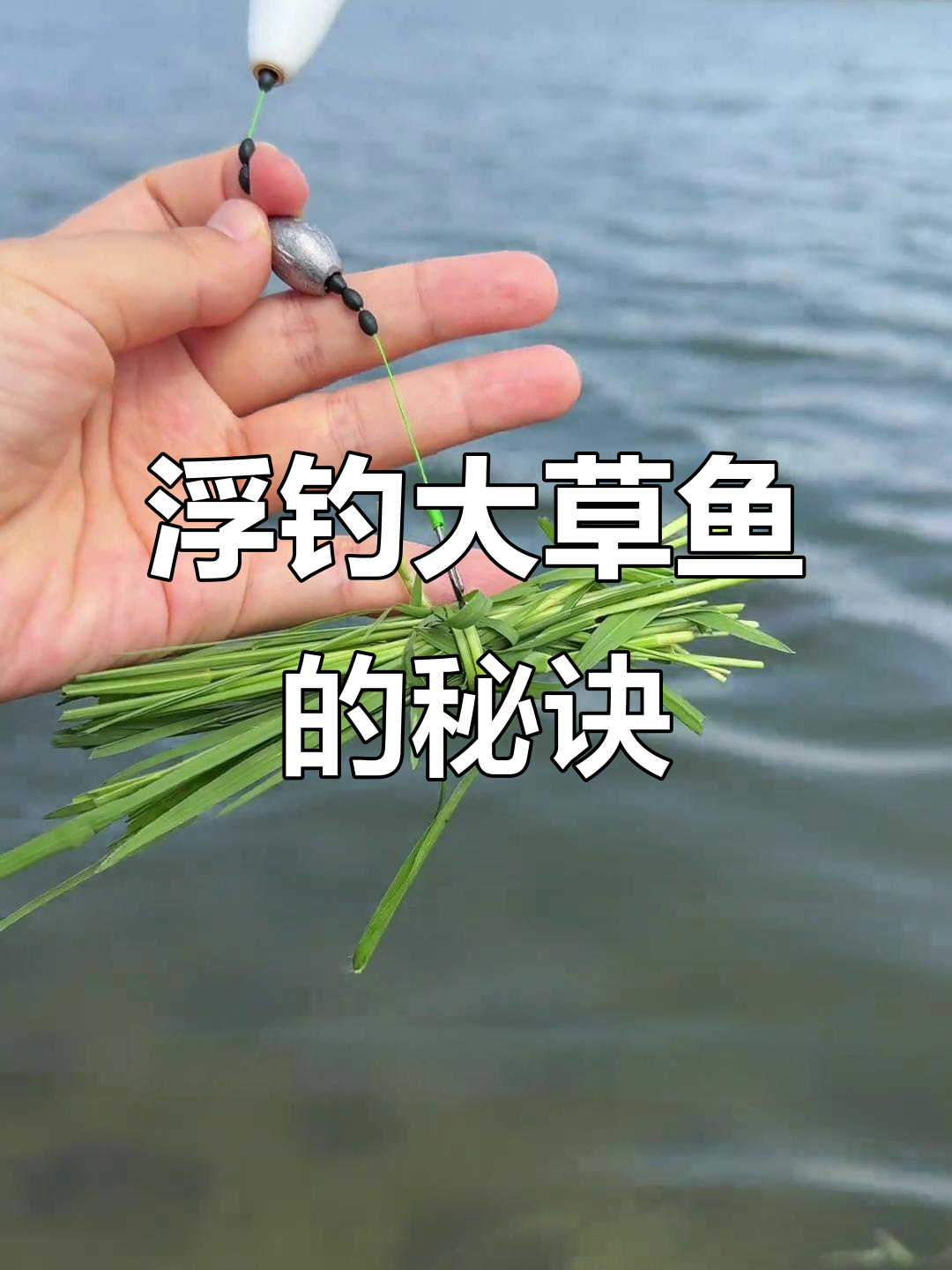 夏季钓草鱼的小技巧(夏季野钓草鱼怎么钓)