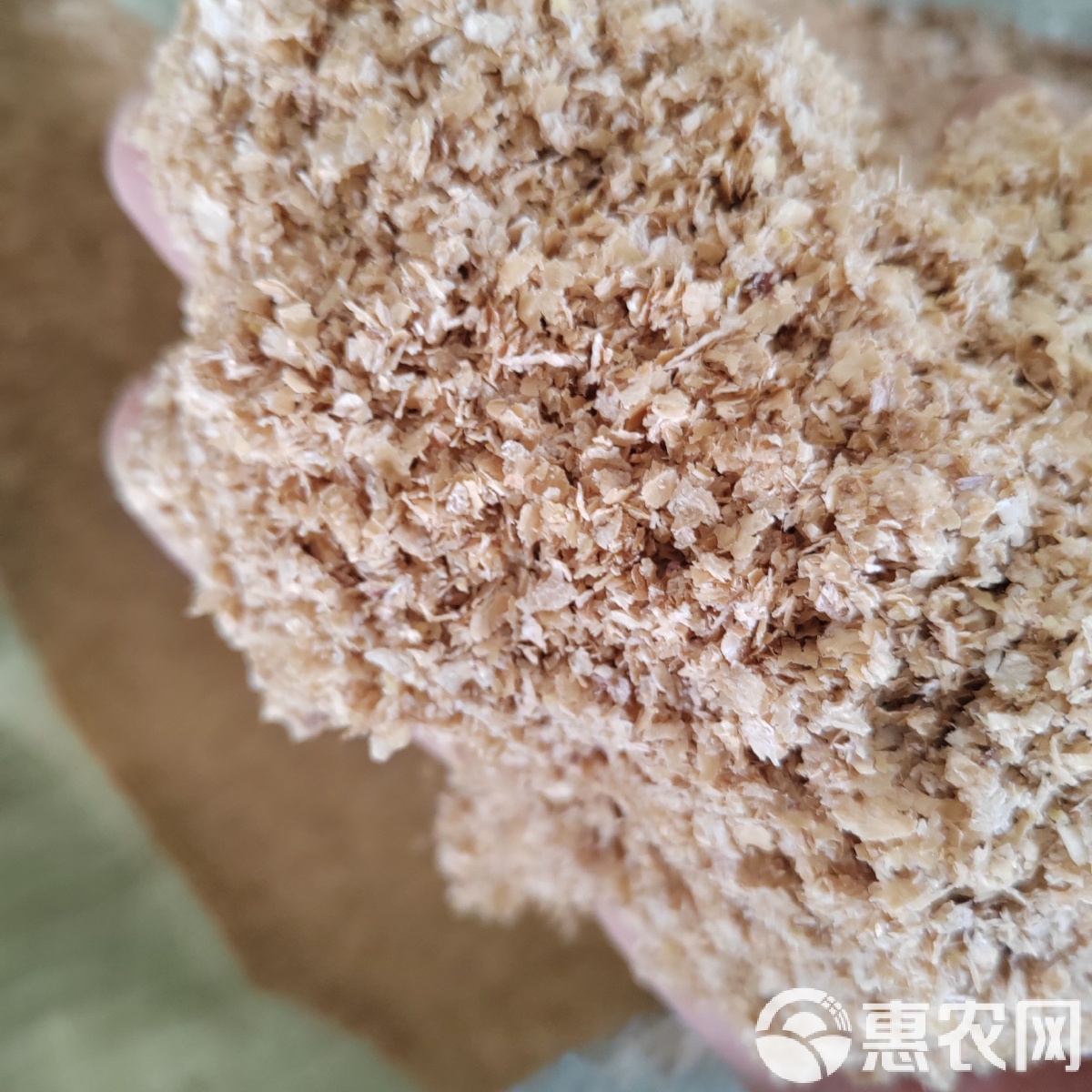 渔具店有卖麸皮的吗(哪里有卖麸皮)