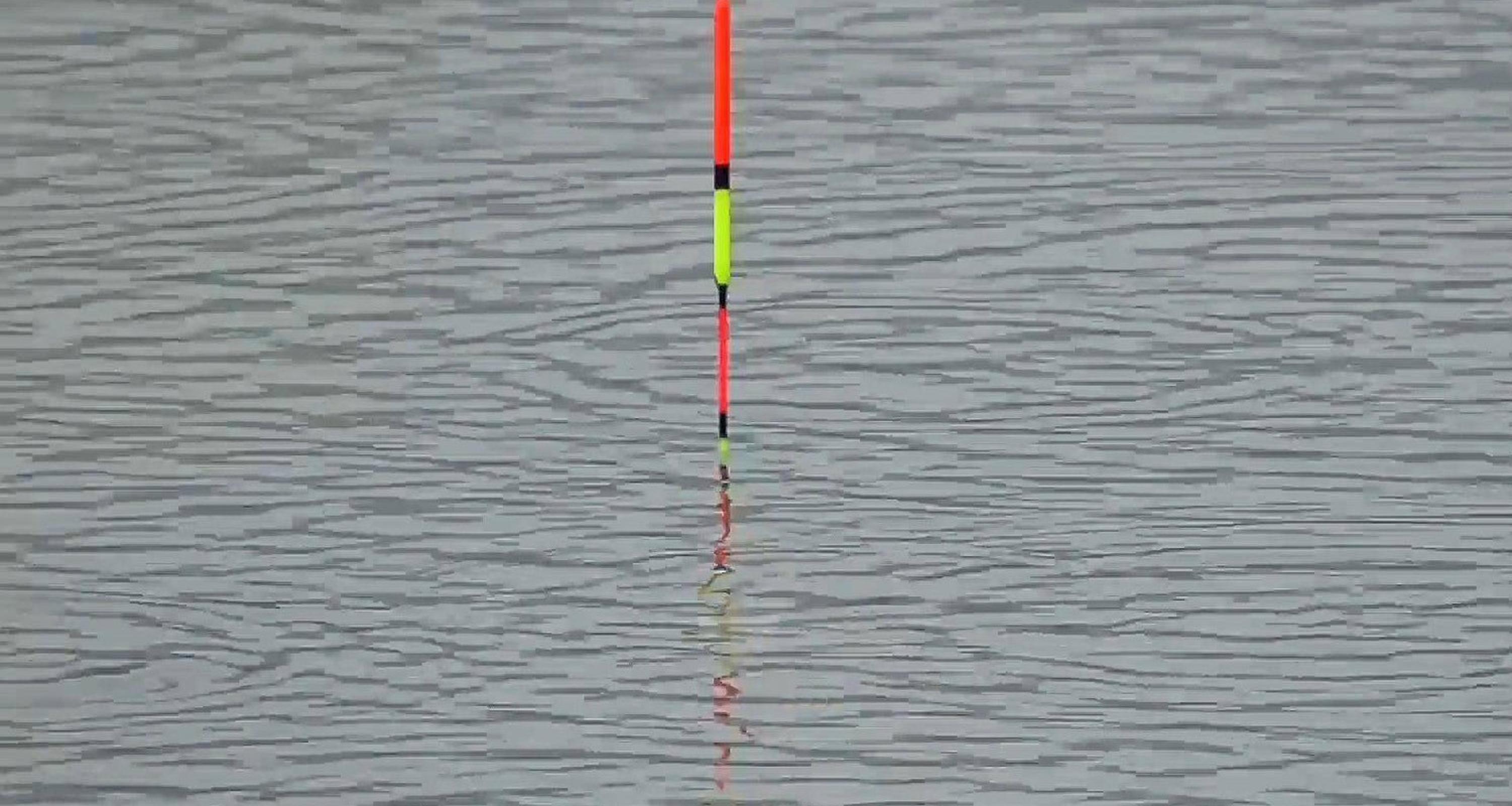 黑坑垂钓技巧视频(钓黑坑教学视频)