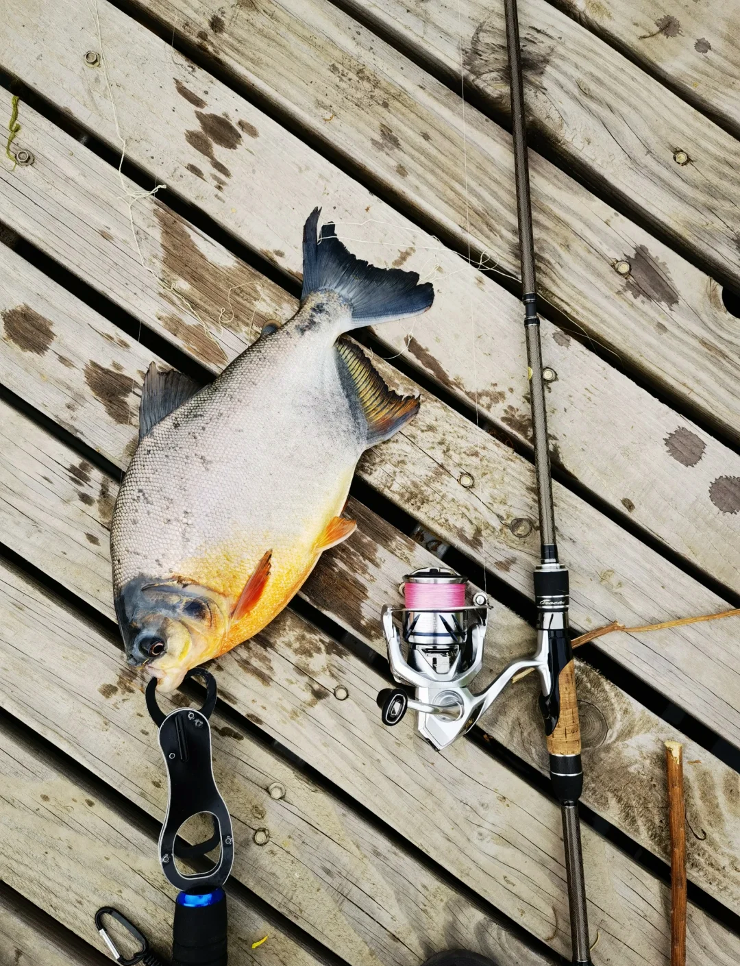 路亚淡水鲳(路亚鲳鱼用什么饵最好)