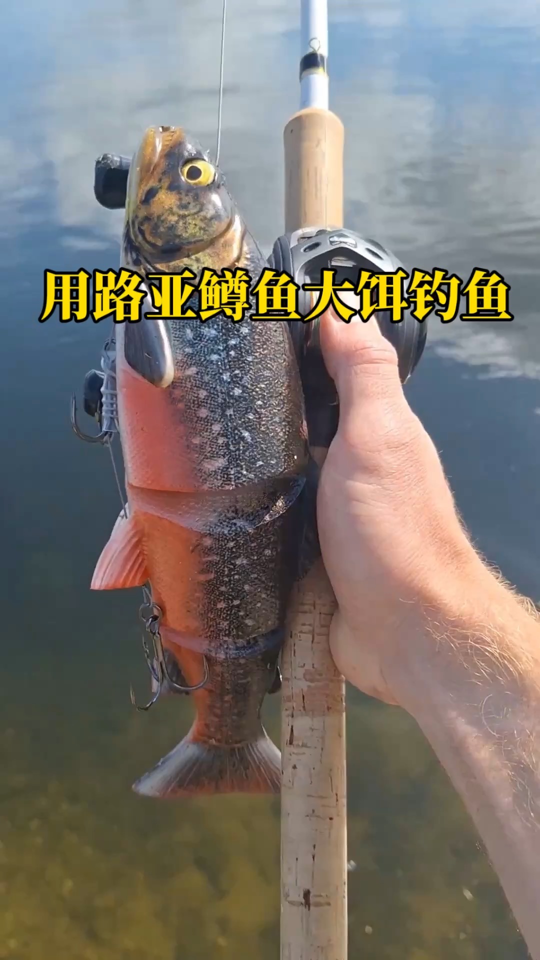 路亚泳姿(路亚饵泳姿)