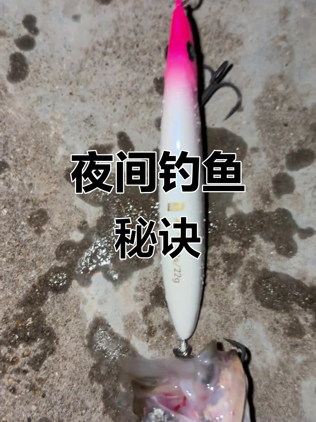 夜钓翘嘴技巧水深(夜钓翘嘴钓深还是钓浅)