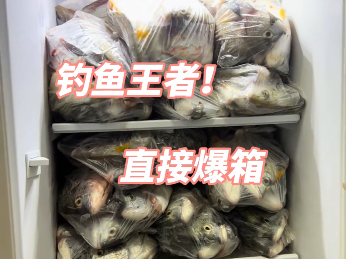 海钓船用小冰箱(海钓船用小冰箱好吗)