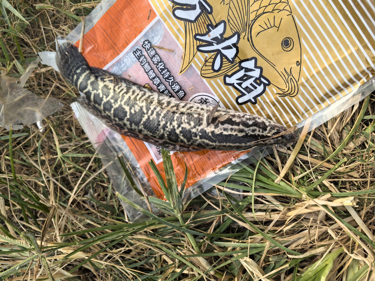 雁栖河路亚(北京免费路亚地点)