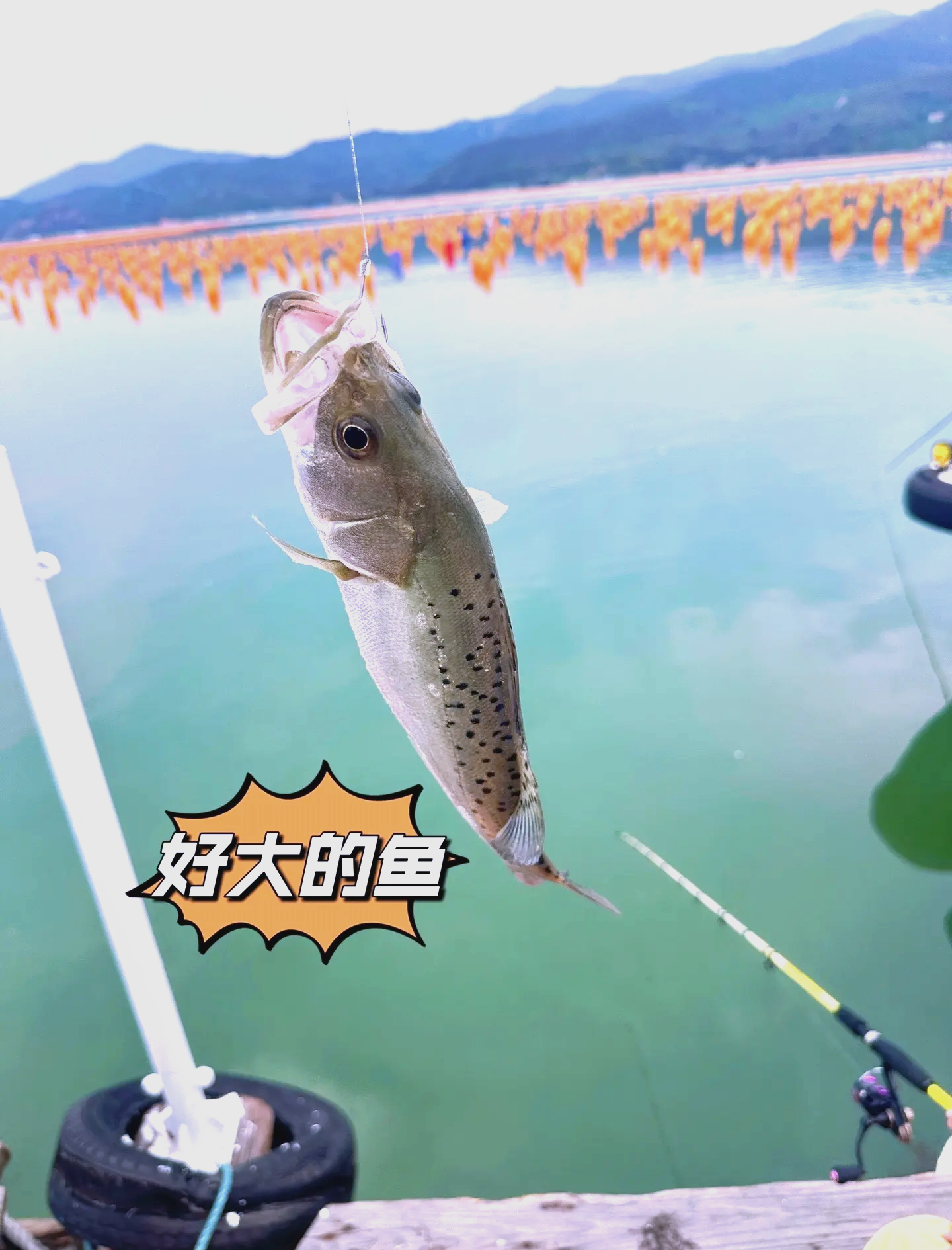 黄骅海钓地点(黄骅海钓地点图)