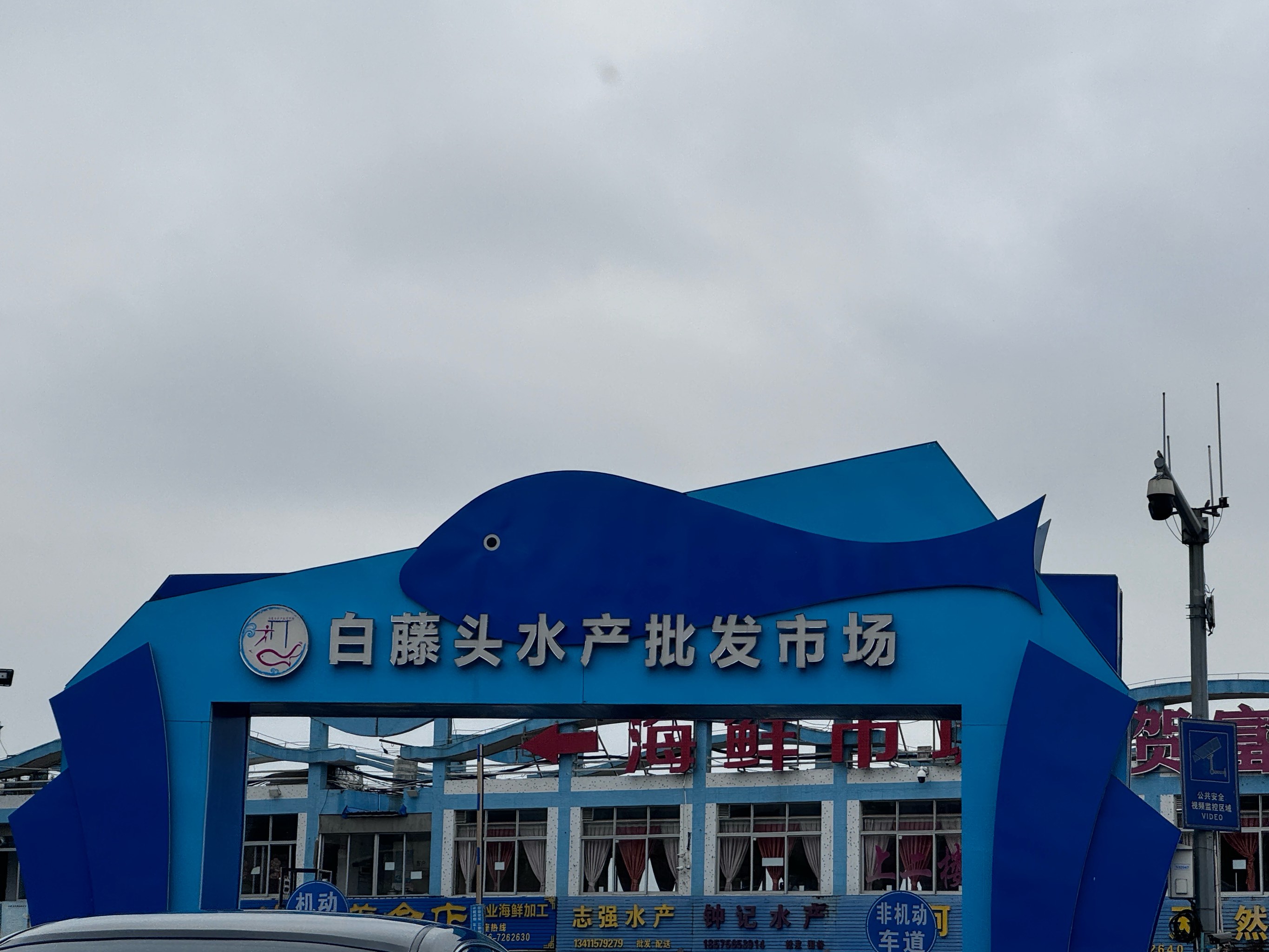 国内渔具批发市场在哪(中国最大的渔具批发商)