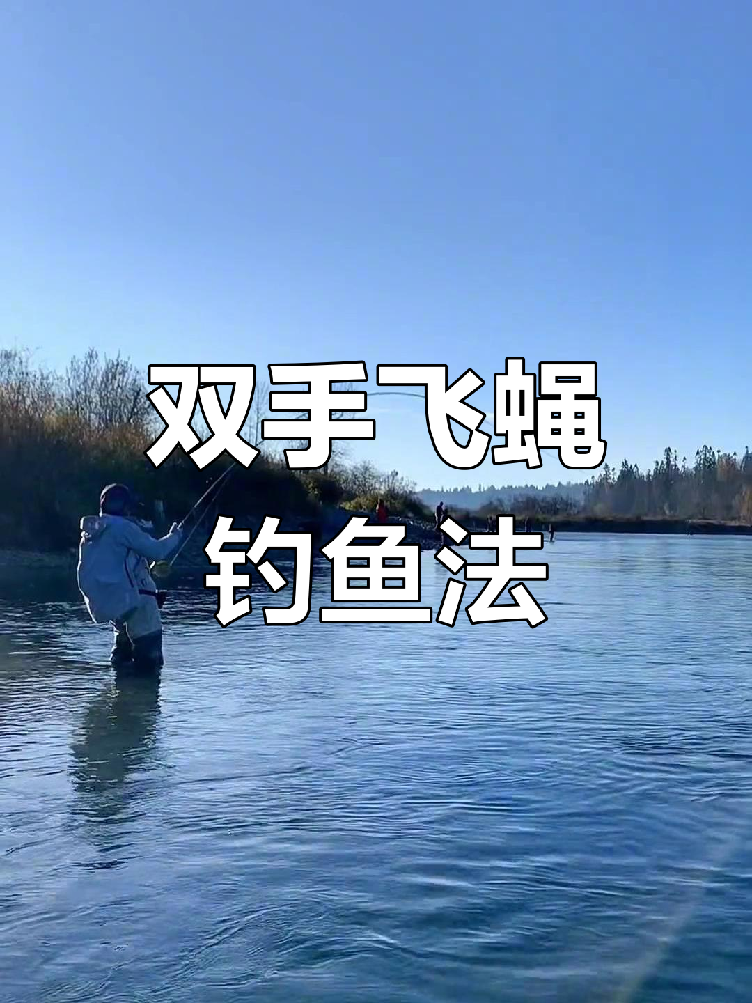 诱饵笼钓的应用技巧(诱饵笼挂在什么位置)