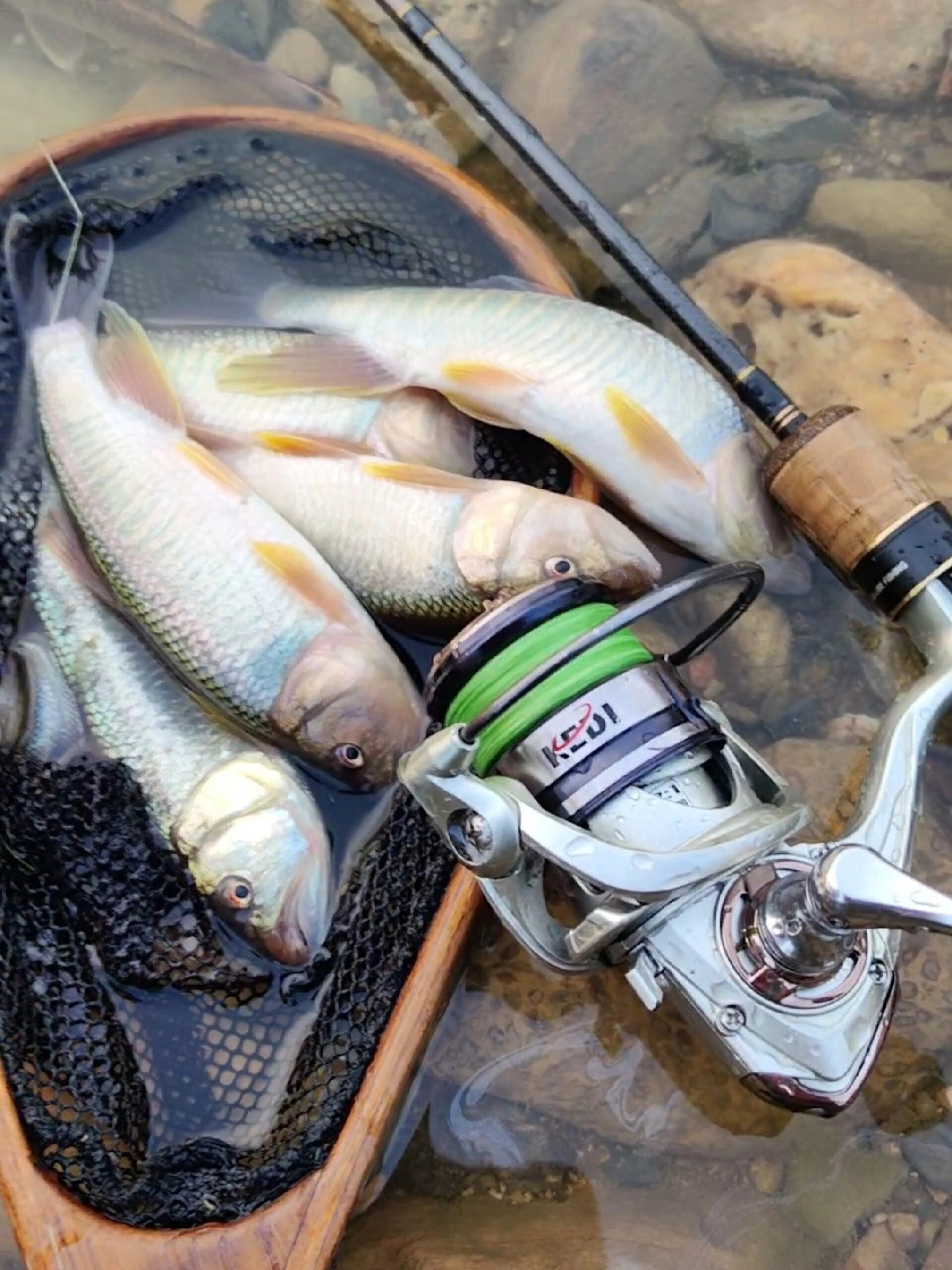 路亚纺车pe(路亚纺车轮)