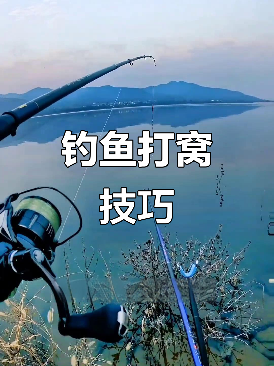 钓鲤鱼起竿技巧视频(钓鲤鱼起竿技巧视频教程)