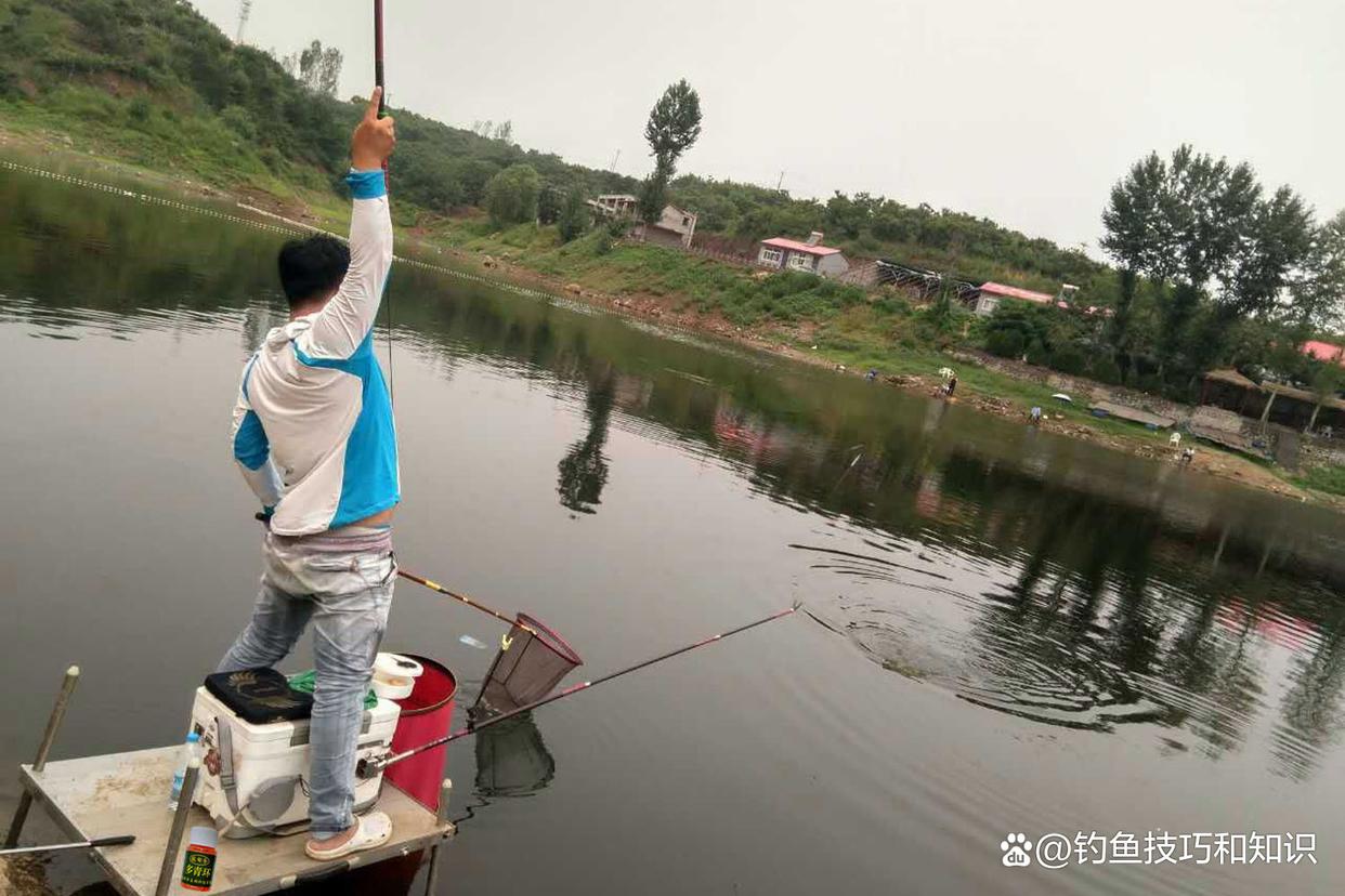 夏季黑坑锚青鱼技巧(黑坑蹭线锚青鱼钓法)