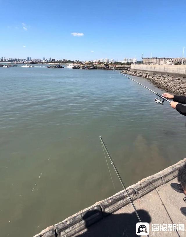 日照附近海钓(在日照可海钓野钓的地方位置)