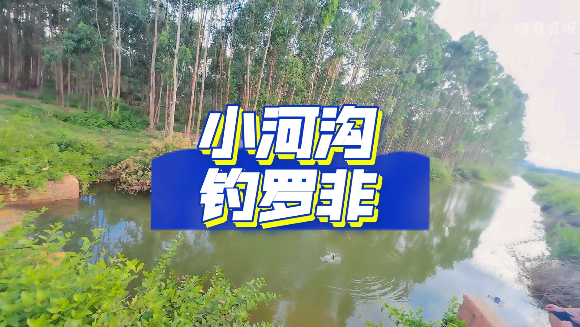 咸淡水钓罗非技巧(咸淡水钓大罗非)