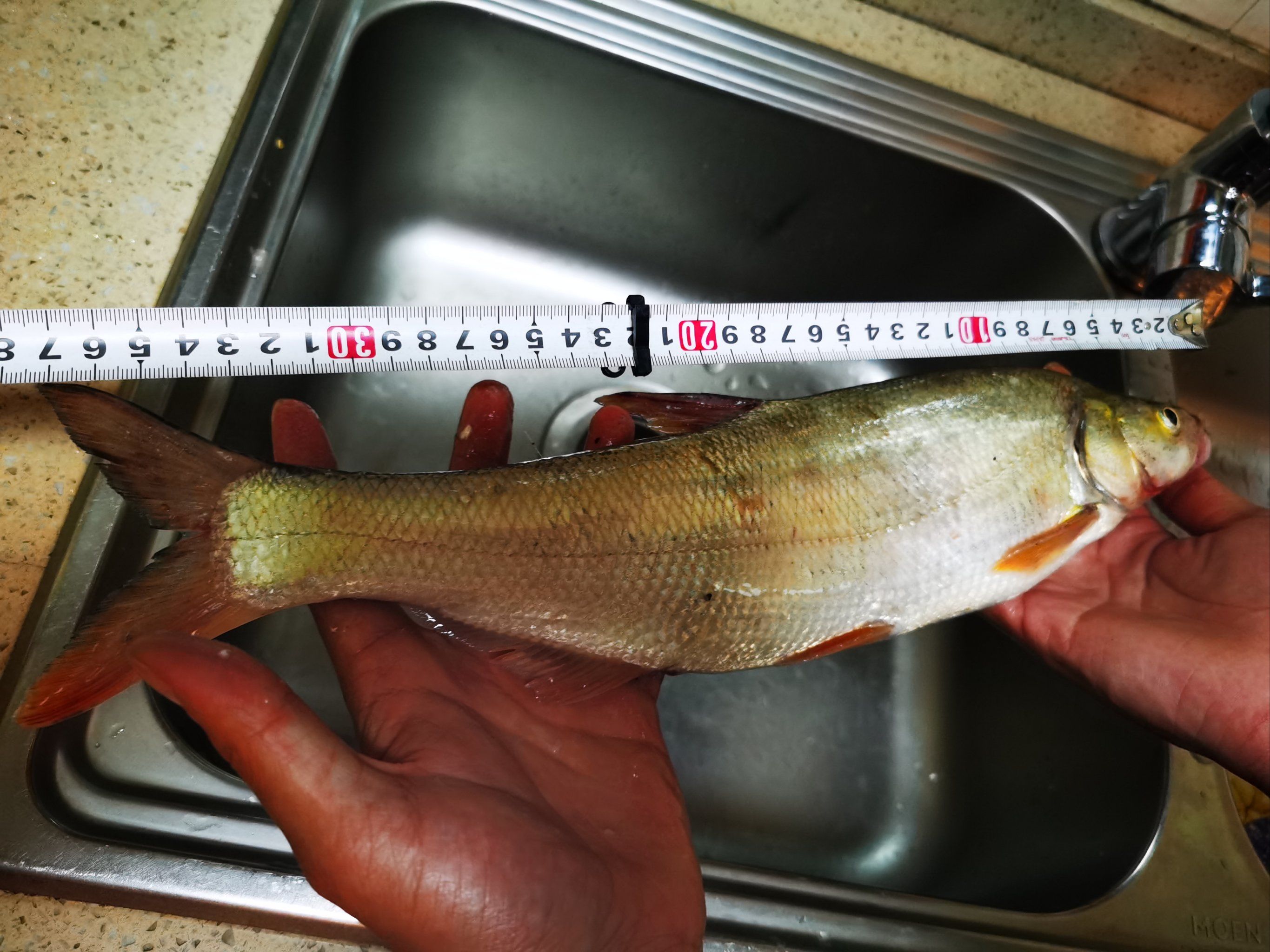 广西玉林路亚(广西路亚圣地)