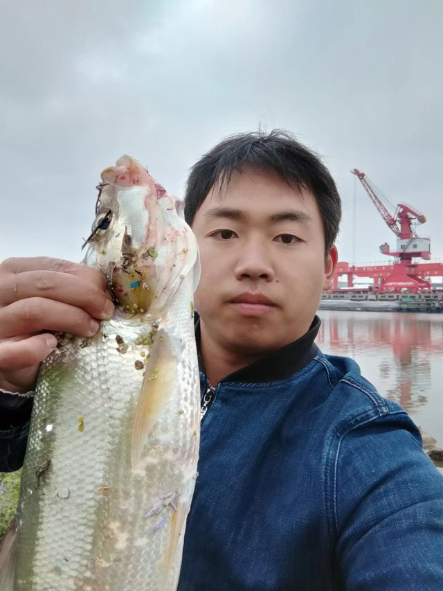 淮安路亚翘嘴(翘嘴路亚竿推荐)