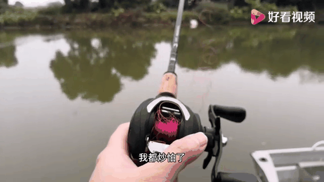 路亚炒粉(路亚炒粉怎么解决)