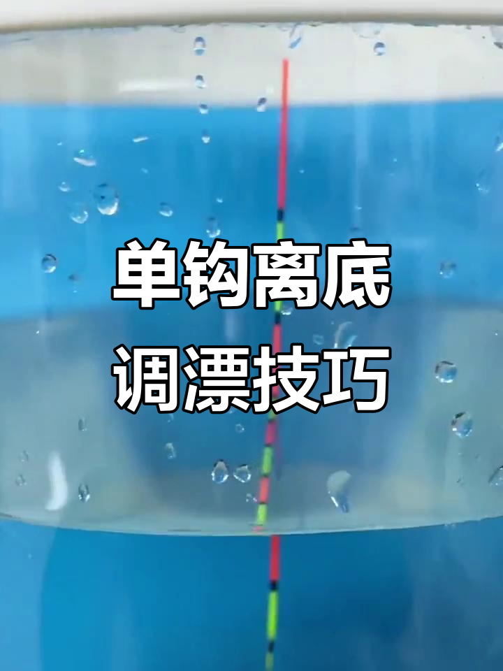 化氏草鱼调漂技巧(化氏草鱼调漂技巧图解)