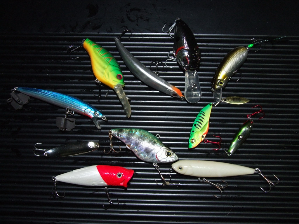 路亚前导颜色(路亚前导线用透明的还是颜色)