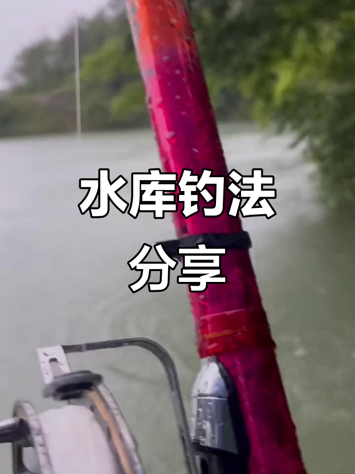 水库打窝技巧夏季(水库打窝用什么饵料)