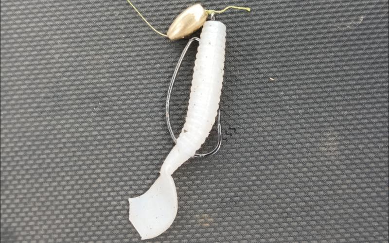 北方钓罗非饵料(南方冬季钓罗非饵料)