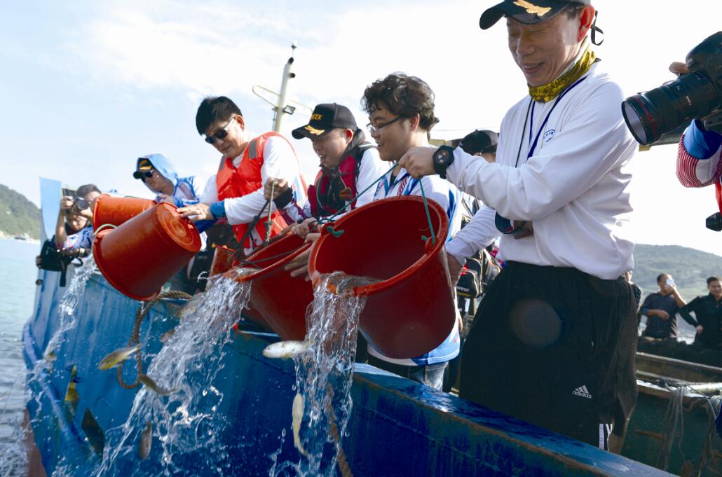 去南麂列岛海钓(南麂岛能海钓吗)