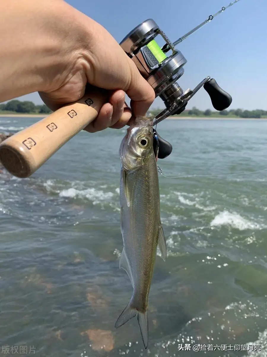 怀柔路亚攻略(怀柔白河路亚钓点)