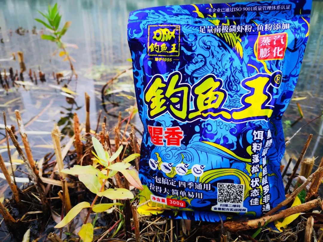 钓鱼王饵料专卖(钓鱼王饵料多少钱一袋)