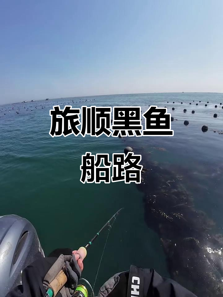 大连船钓技巧(大连船钓视频)