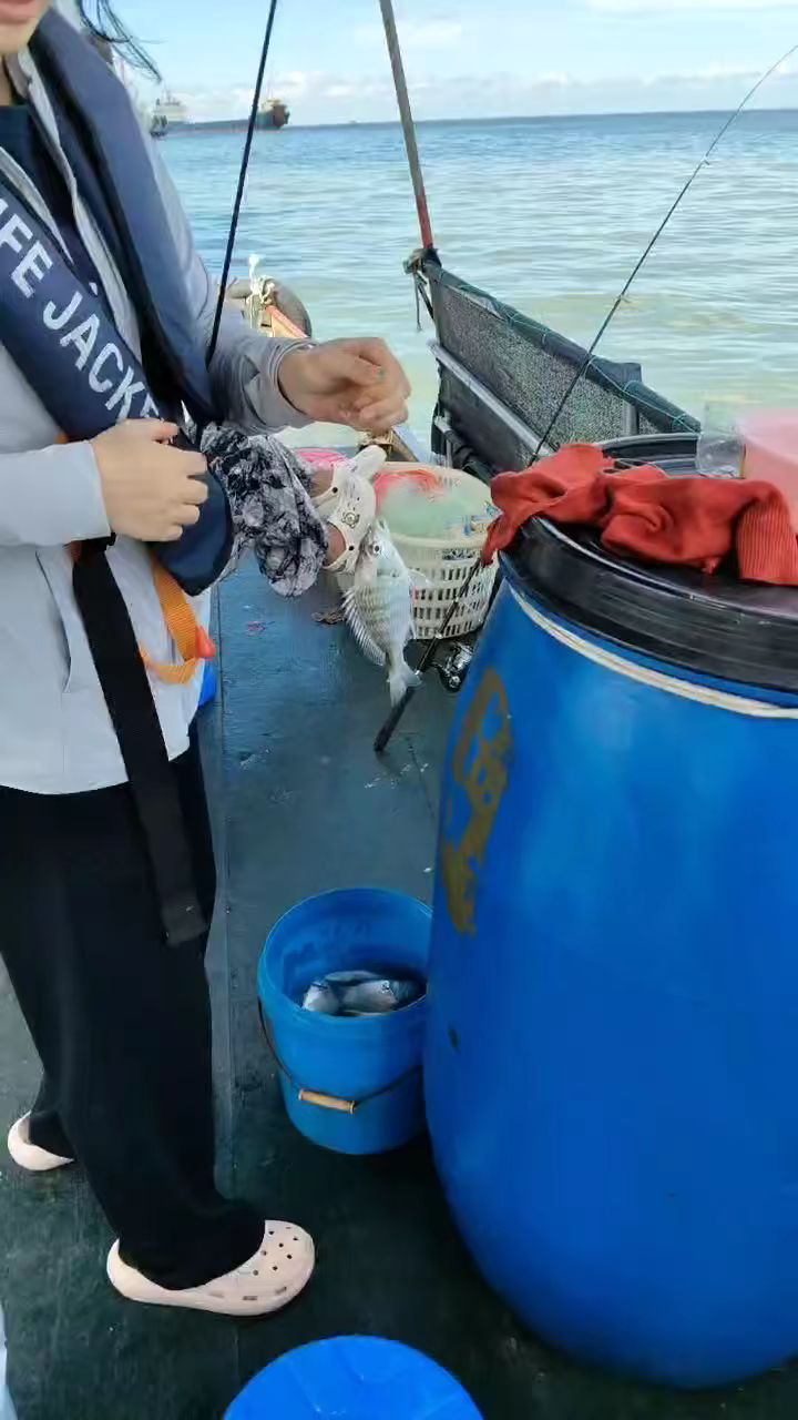 北海钓魚(北海钓鱼船牌照怎样办理)