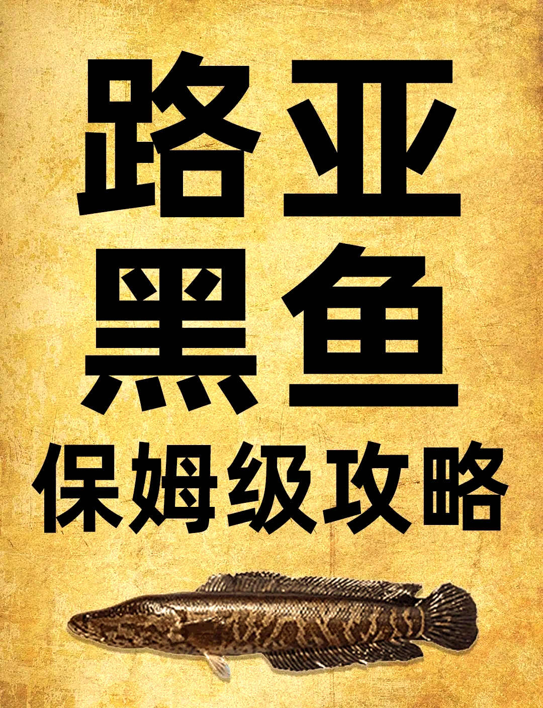 秋季路亚黑鱼时间(初秋路亚黑鱼)
