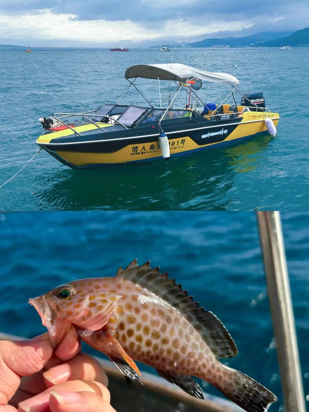 海钓大潮鱼肯上不(海钓大潮有影响吗)